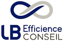 LB Efficience Conseil Logo